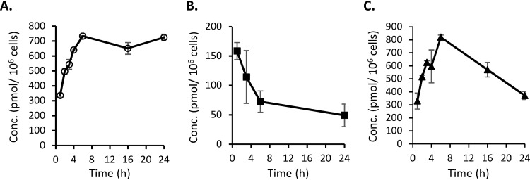 FIG 1