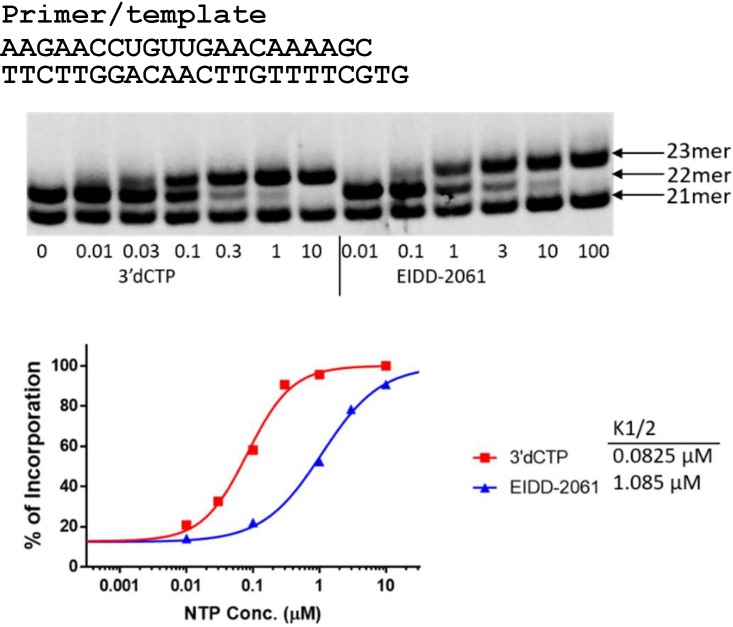 FIG 2