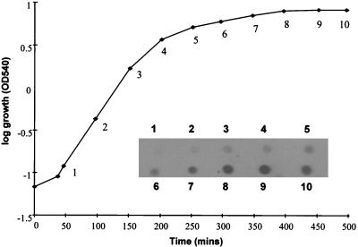 FIG. 6