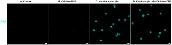 Figure1