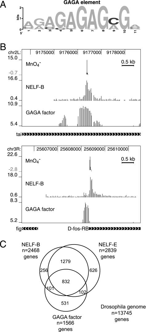 FIG. 5.