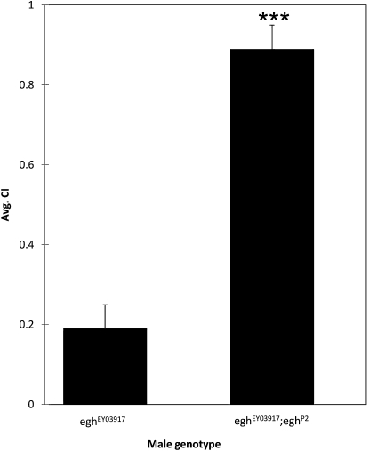 Figure 5.—