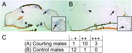 Figure 1.—