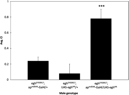 Figure 7.—