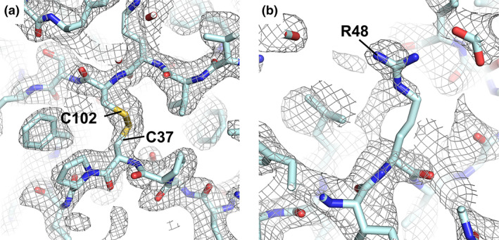 FIGURE 3