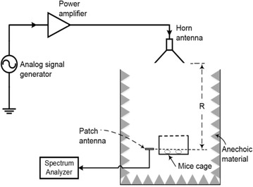 Fig. 1