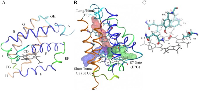 Fig 1