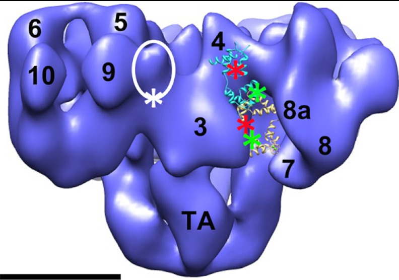 FIGURE 5.