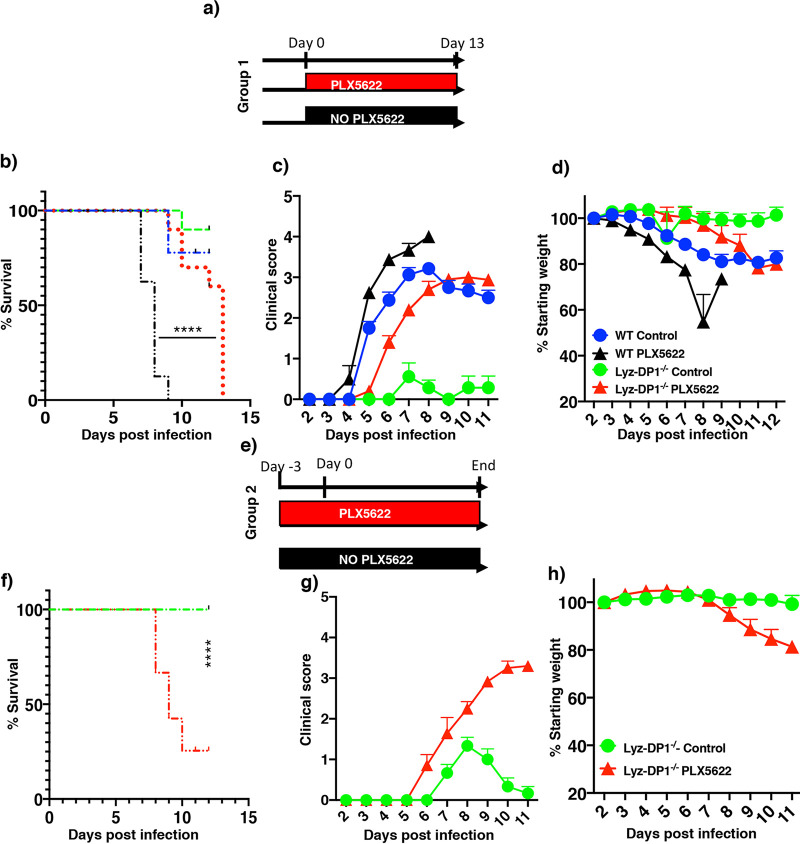 FIG 6