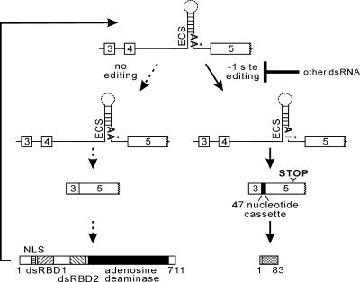 FIG. 6.