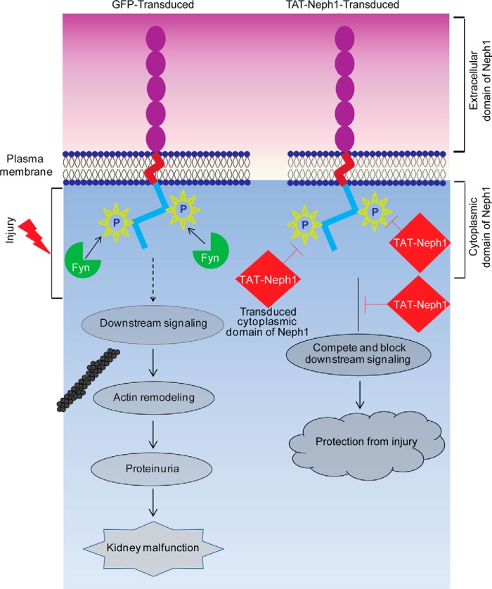 FIGURE 10.