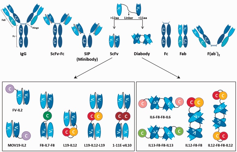 Figure 2.