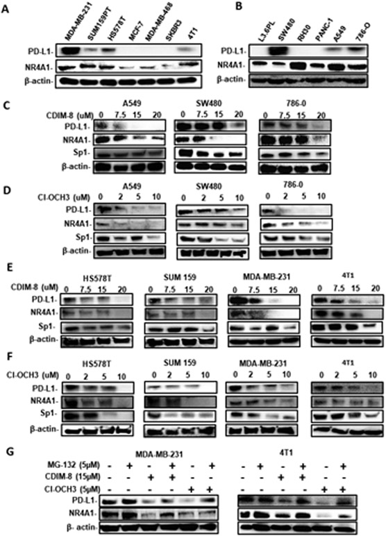 Figure1.