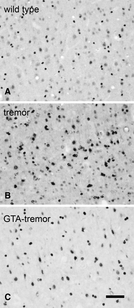 Fig. 7