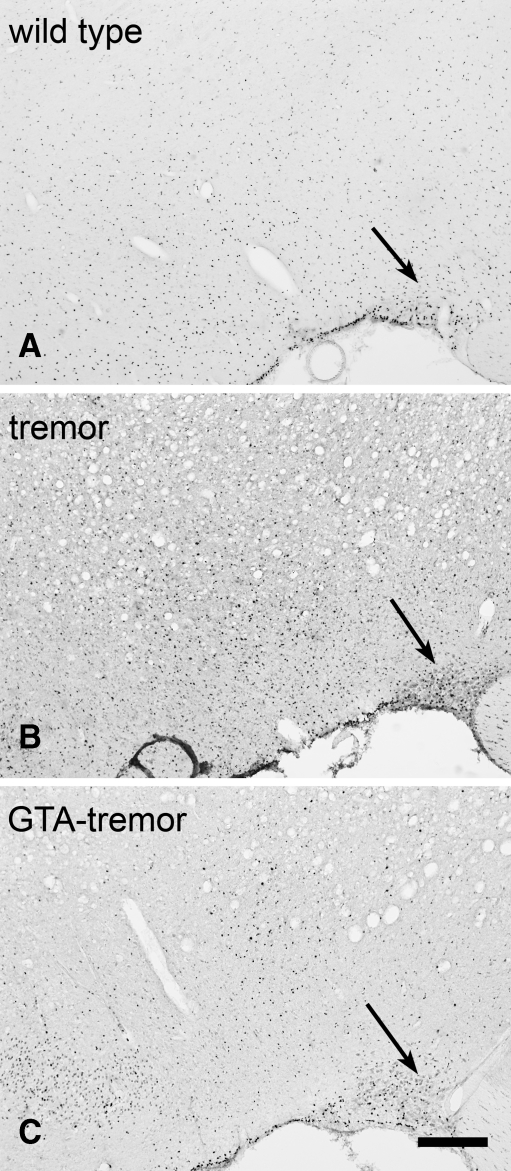 Fig. 8