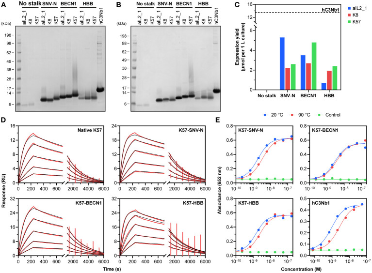 Figure 2