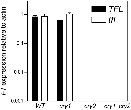 Figure 4.—