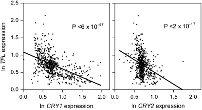 Figure 1.—