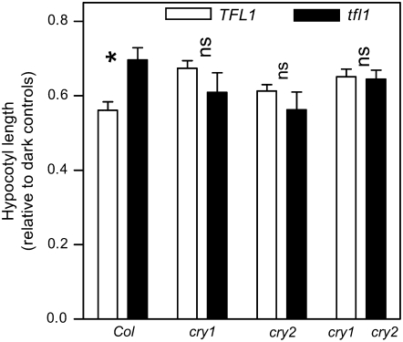 Figure 6.—