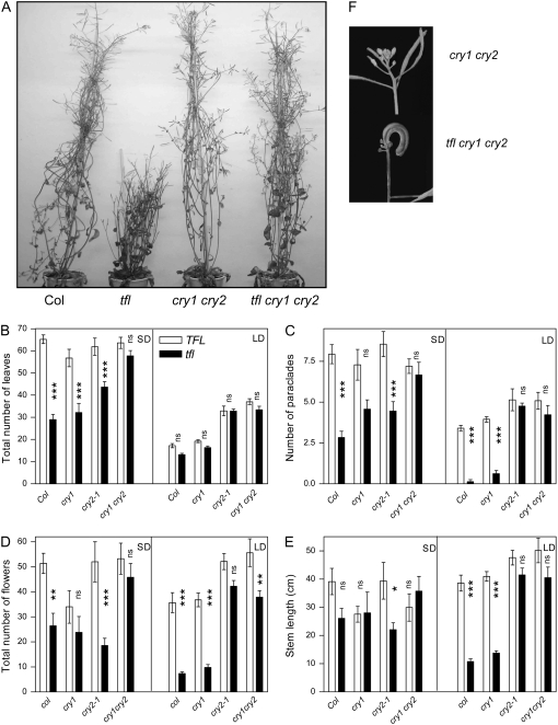 Figure 3.—