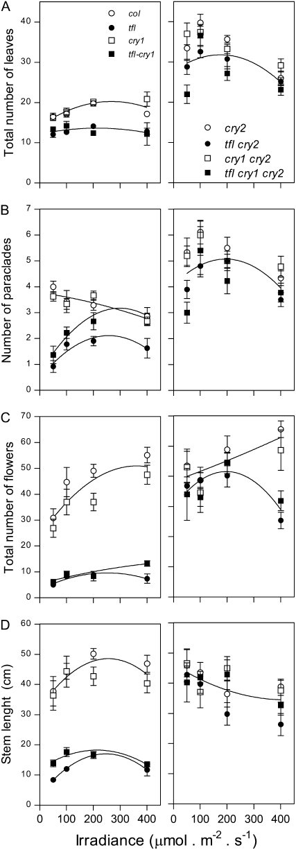 Figure 5.—