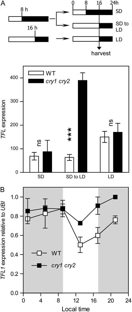 Figure 2.—