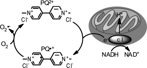 FIG. 8.