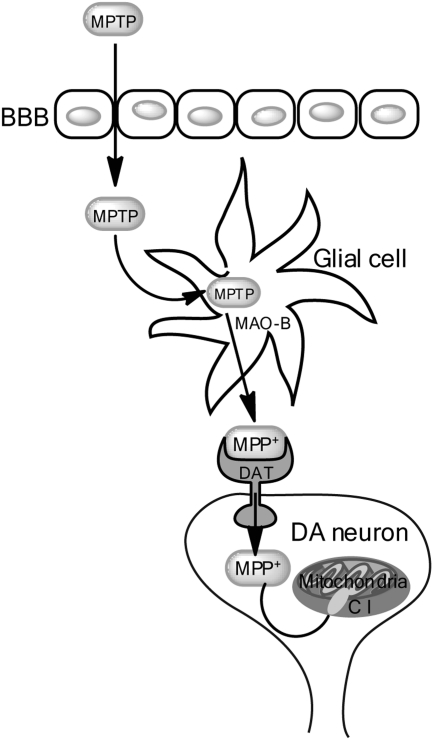 FIG. 3.