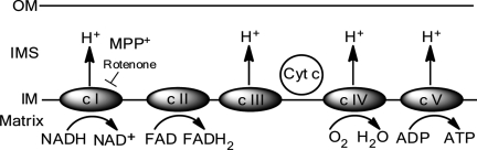 FIG. 5.