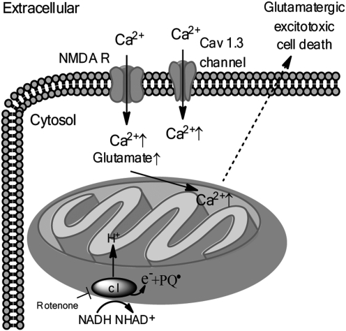 FIG. 7.