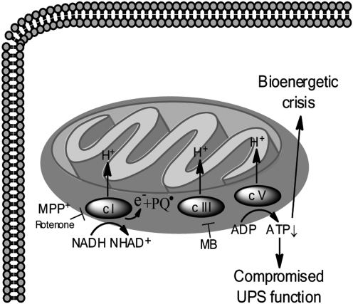 FIG. 6.