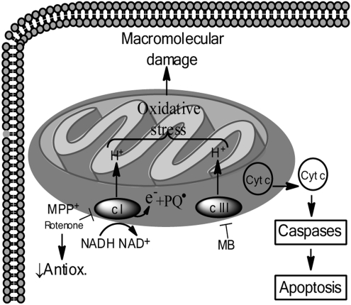 FIG. 4.