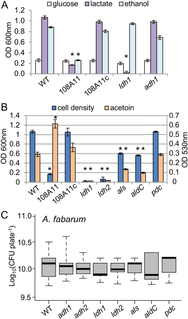 FIG 3