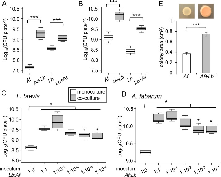 FIG 1