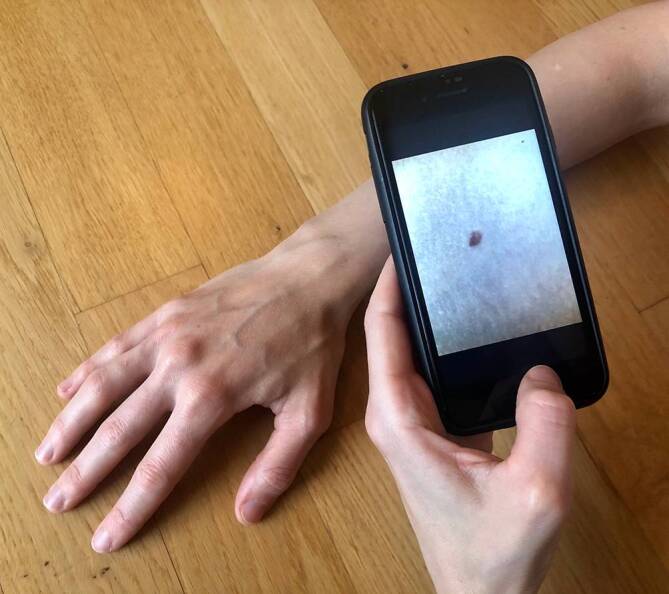 graphic file with name 105_2020_4660_Fig1_HTML.jpg