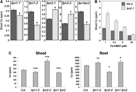 Figure 3.