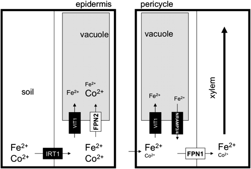 Figure 9.