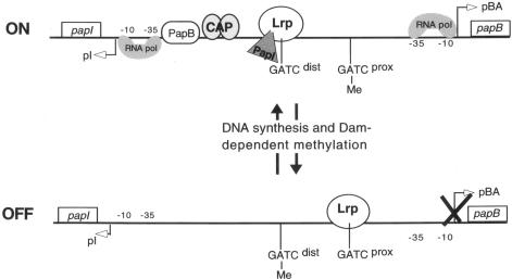 FIG. 4.