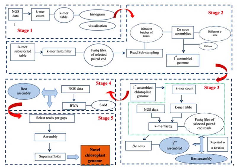 FIGURE 1