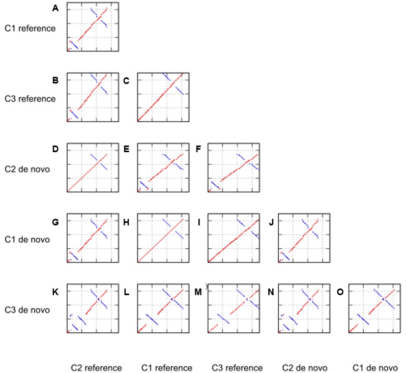 FIGURE 3