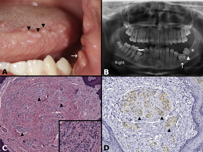 Figure 1