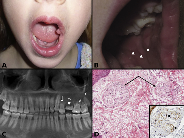 Figure 2