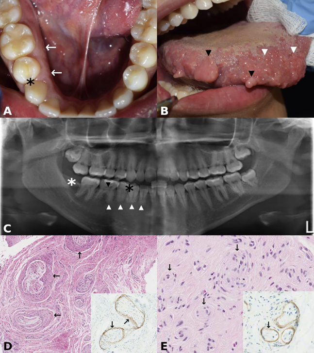 Figure 3