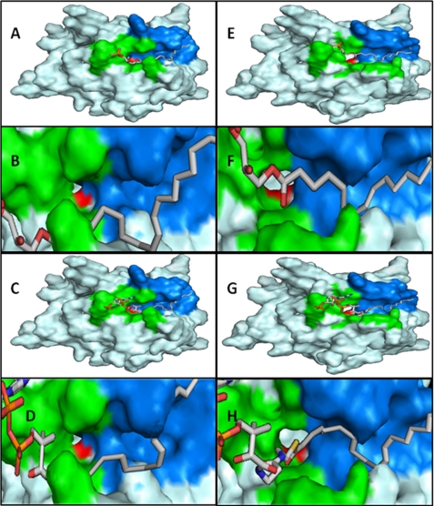 FIGURE 7.