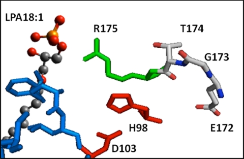 FIGURE 11.