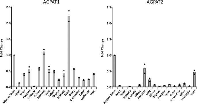 FIGURE 1.