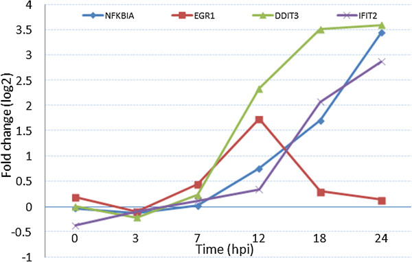 Figure 14