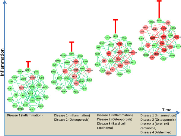 Figure 17