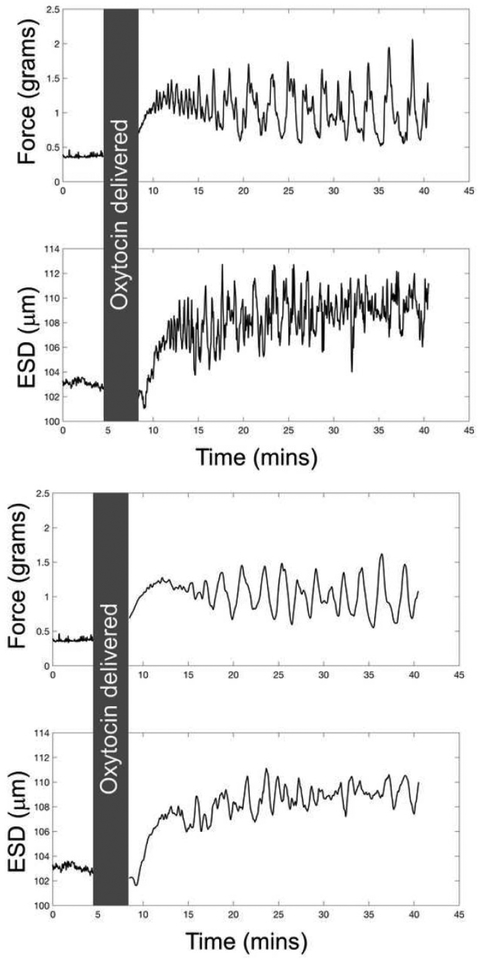 Figure 3: