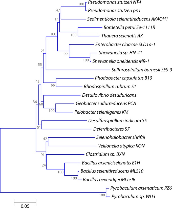 FIG 3